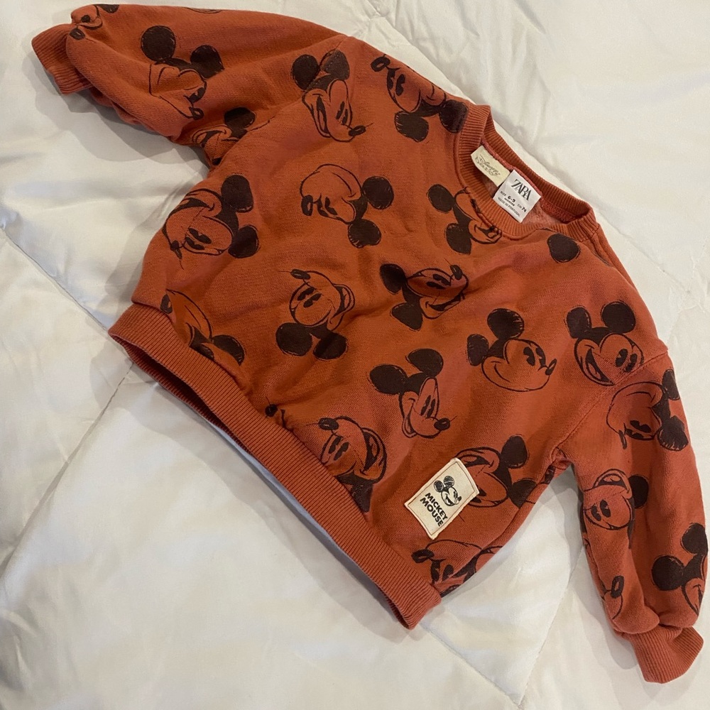 Zara sweater